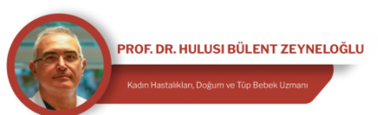 Prof. Dr. Hulusi Zeyneloglu